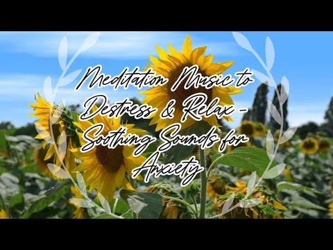 Throw Stress Away with Meditation Music to DESTRESS & RELAX  #throwstressaway #meditationmusic