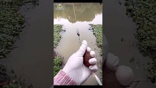 Pancing jaring #fishing #mancing