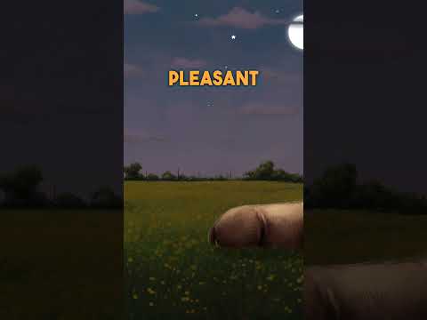 Pleasant Dreams Donkeys | Bedtime Story for Kids