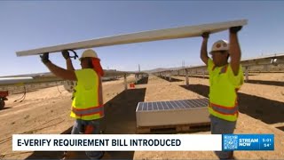 Idaho legislators introduce E-Verify requirement bill