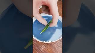 How To Make A Compass With A Needle 😮