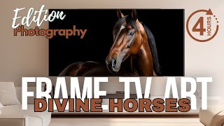 Equestrian Elegance: Divine Horses in a Magical Slideshow #tvartslideshow #arttvscreensaver