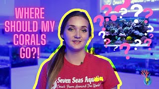 Where should corals go in your reef aquarium? | Coral Placement Tips