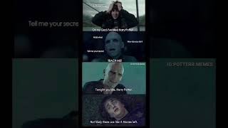 “Voldemort Finds the Plot Armor 😂”