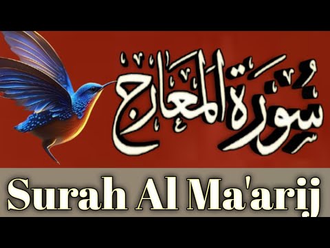 Surah Al Ma'arij Tilawat | Beautiful Voice | Tilawat With Tajweed  | Quran Recitation | سورۃ المعارج