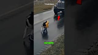 Dogs Instinctively Protect Humans from Danger 🫡🐕