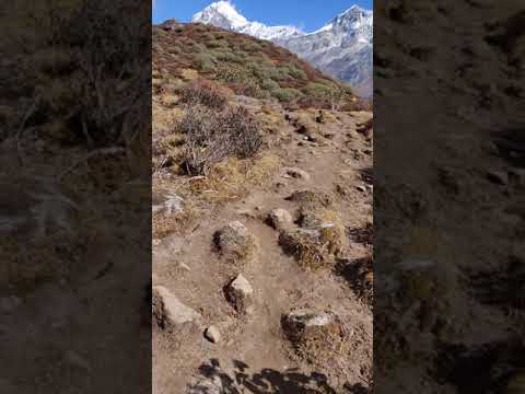 #GoechalaTrek solo walking #treking_in_india #sikkim_trekking