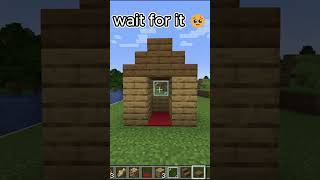 I Saved a Cat Minecraft #shorts #minecraft #gaming #exploit #glitch