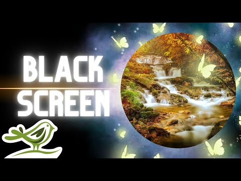 [NO ADS] Forest Whisper | Relaxing Fantasy Music for Sleep with Dark Screen by Peder B. Helland
