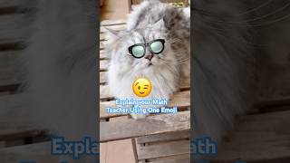 Explain Your Math Teacher using one Emoji 😉 #cat #funny #cute #pets #trendingshorts #viralvideo