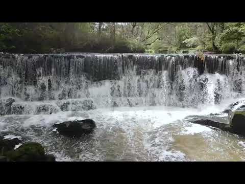 Hoghton Bottoms Waterfall #2021