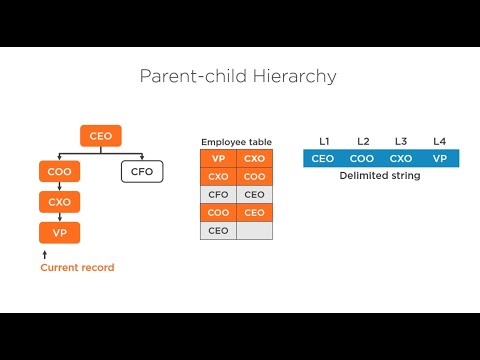 SSAS Hierarchy [Ragged] - Building SSAS Tabular Models [Free Course link in description]