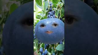 Berry Blueberry Beatboxer #berry #blueberry #funny #oc #cursedcontent