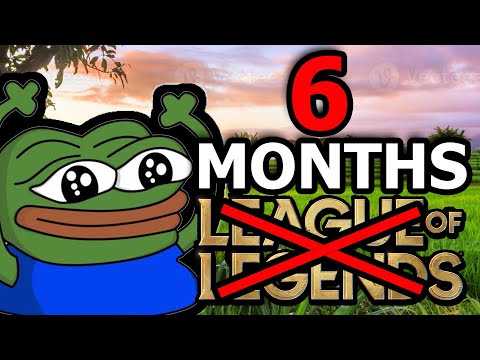 I Went 6 Months Without League of Legends! What Happened?
