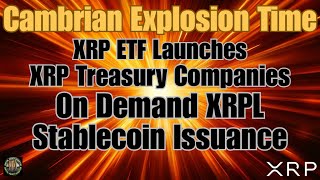 Evernorth XRP Investors , FED Skinny Master Account & Ripple Stablecoin Issuance Platform