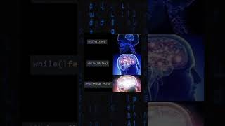 1747 Programming memes, only humor #jokes #fy #fyp #soft #software #code #it #technology #git