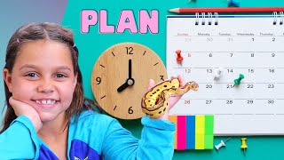 How To Plan Your First Ball Python Breeding Season