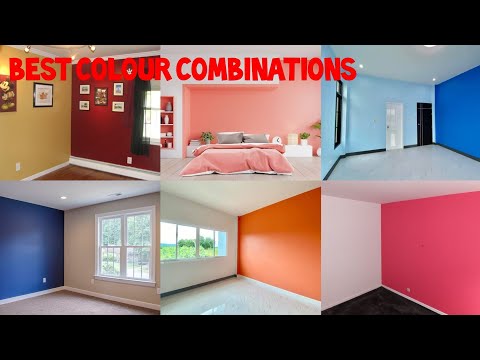 Best Colour Combination for Living Room Wall, House Wall, Interior Wall Color Ideas, Bedroom Wall