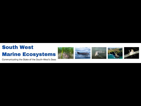 What is SWME? Briefing July 2023