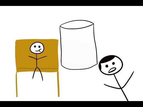 A Marshmallow Can Predict Your Life Success | The Marshmallow Test