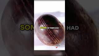 Extraterrestrial Stone Spheres Found in South Africa Mind Blowing Discovery.