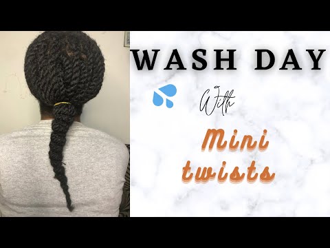 Mini Twists Wash Day Routine on 4c Natural Hair| Nemi Effy