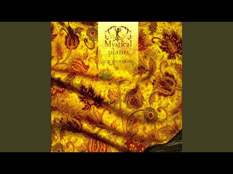 King of Playa (Pluto Project / Mystical Plants Remix)