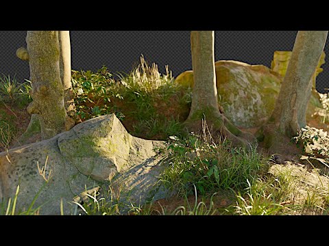 Create Amazing Forests in Blender