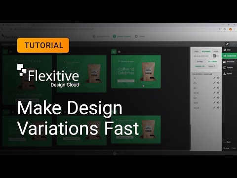 6. Making Design Variations Fast - Flexitive Tutorial
