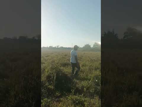#shorts #nature walk