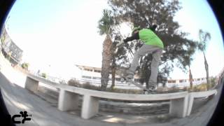 team pcf skateboards