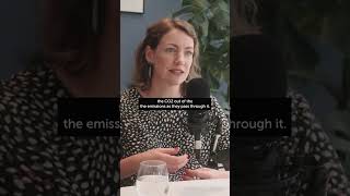 Is CCS a form of clean energy?
