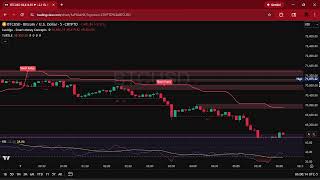 Bitcoin Chart LIVE BTC with RSI and BUY SELL Signals Indicators Trading Graph Crypto Market