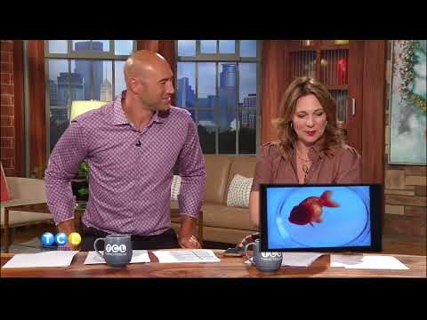 Pidge on Live TV