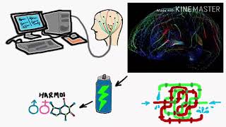 Human Brain VS Computer