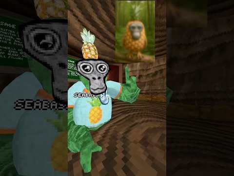 Watch The Video (unless you don’t wanna see Seabass again) #gorillatag #gtag #shorts #funny #foryou
