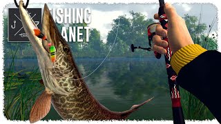 I Finally Caught a MUSKIE in Michigan (so many damn pike) | FISHING PLANET