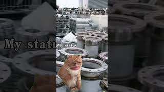 When customerspraise our reliability. My inner self......