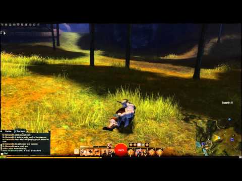 Guild Wars 2 - Y U NO RELEASE?