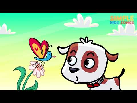 BINGO - Song for Children  - Simple Kids Songs - Nursery Rhymes - Music Video for Kids