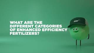 What are the different categories of enhanced efficiency fertilizers?