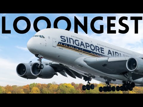 Looooongest flight route to ever exist!