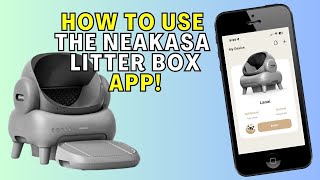 How to Use the App - Neakasa Self-Cleaning Cat Box