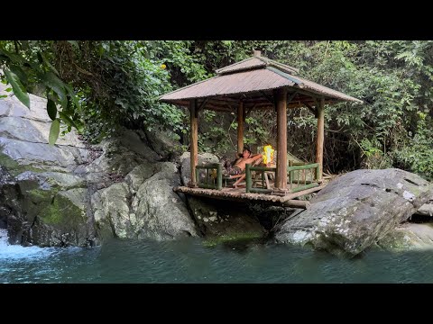 Build Your Own Hut To Survive And Relax In The Rainforest, Grilled Wild Chicken Trap