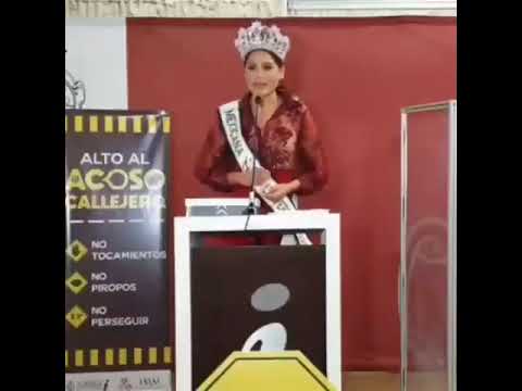 Sobrevalorada Universal . Andrea Meza Miss Telemundo