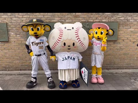 甲子園にたまべヱ登場〜！可愛すぎる😆