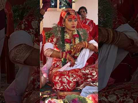 #highlights #foryou #shortfeed #nepaliweddinghighlight #nepali #nepaliculture #nepaliwhatsappstatus