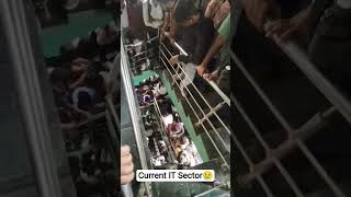 Current Scenario in IT Sector nowadays 😢 | #itjobs2025 #jobvacancy