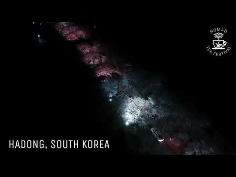 Opening - Drone Light Show (Hadong World Tea Expo 2022) │ Nomad Tea Festival Korea 2021