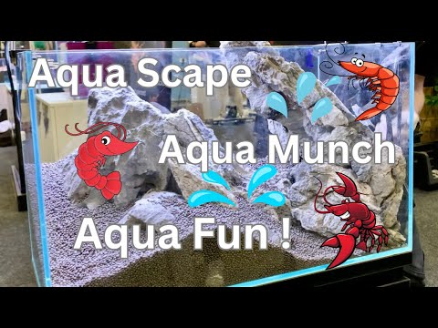 Brisbane Pet Show & amazing NEW fish food !